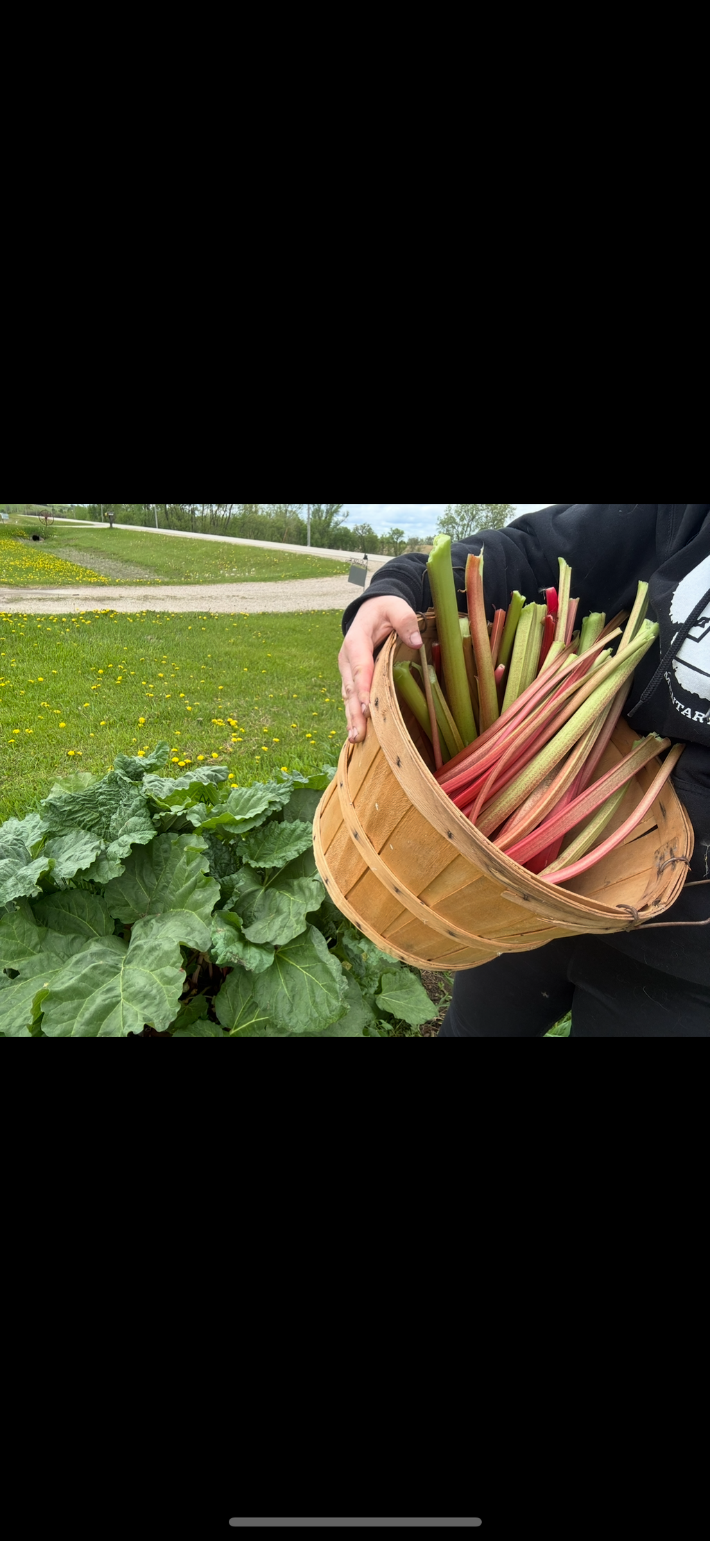 Golden Acres Farm Boxes (12 boxes per season)