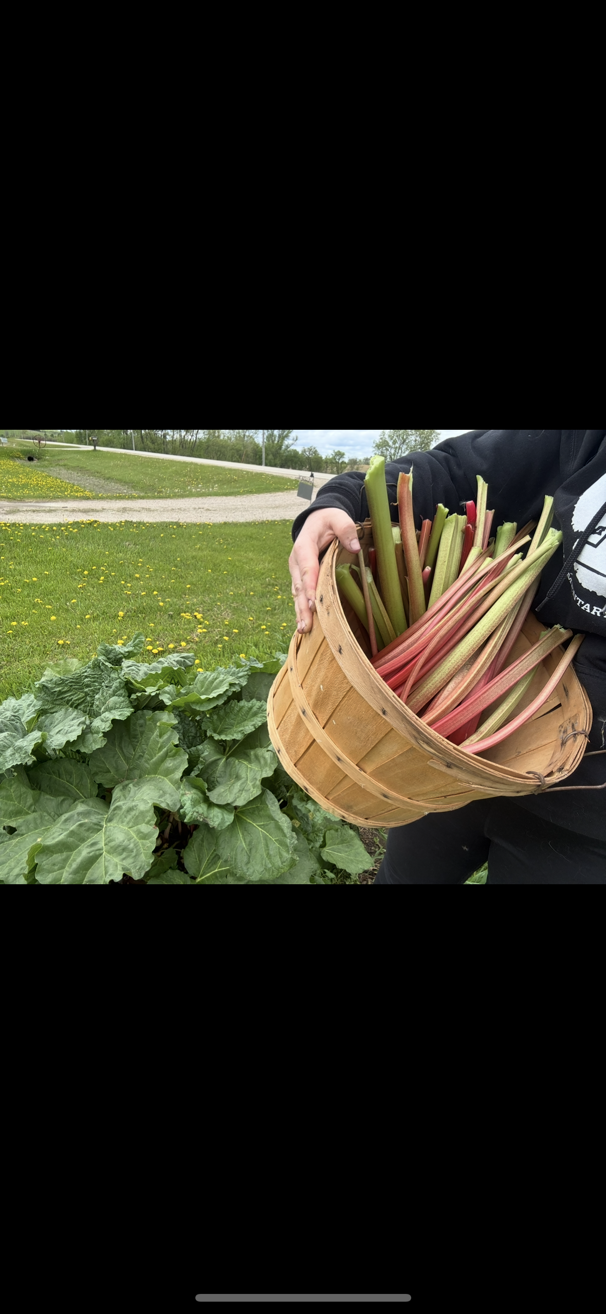 Golden Acres Farm Boxes (12 boxes per season)