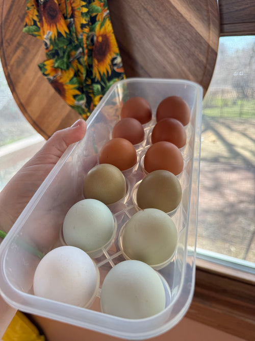 Chicken eggs (dozen) ADD-ON (12 dozen per season)